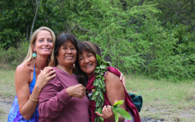 Aloha Rising III, Hawai’i Island Retreat