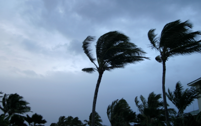 Wonder About Oneness?