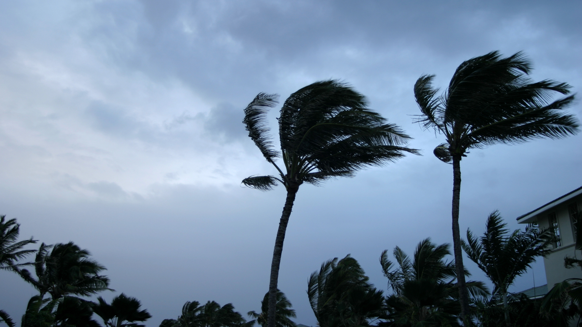 Weathering the Storm